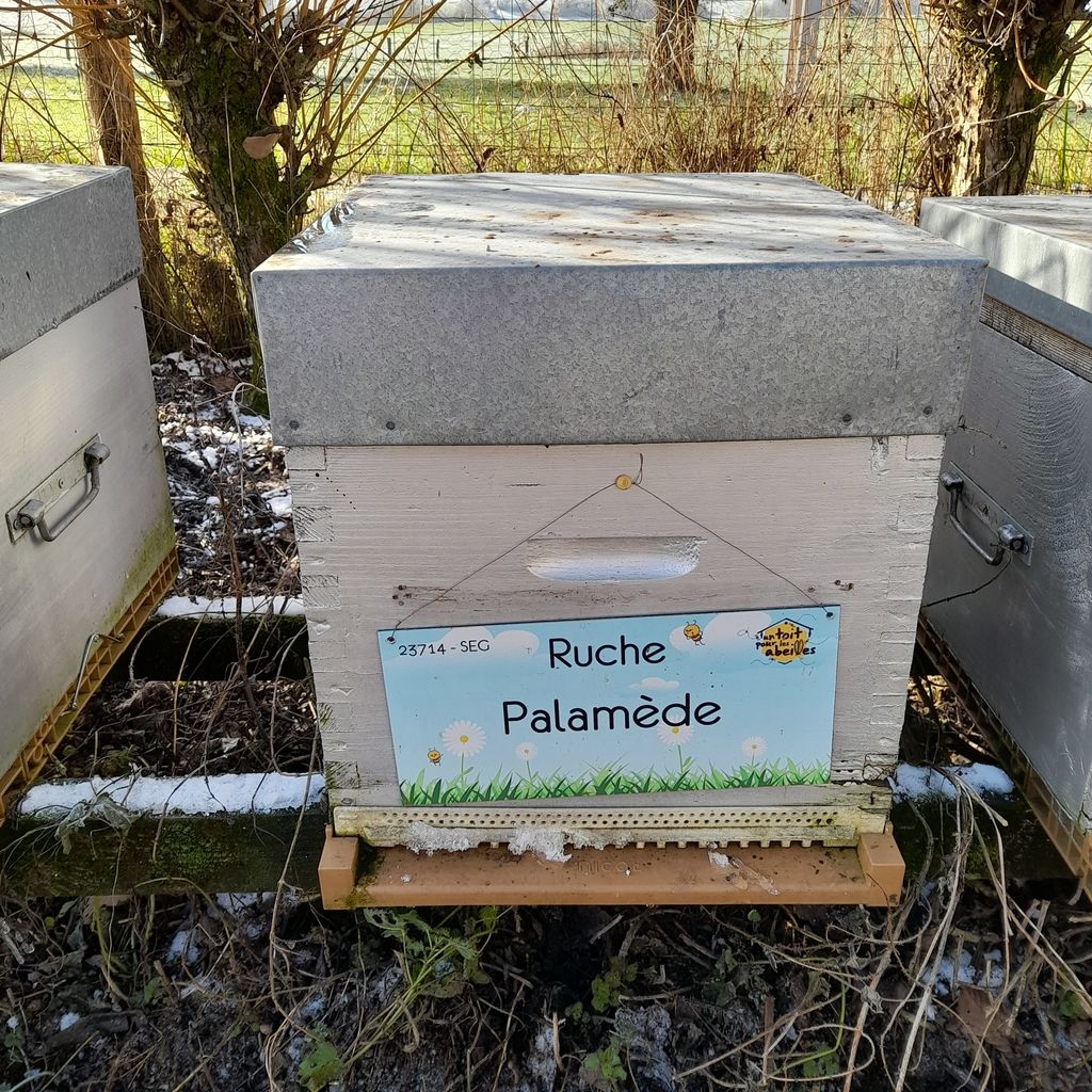 La ruche Palamède