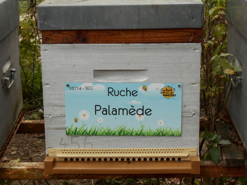 La ruche