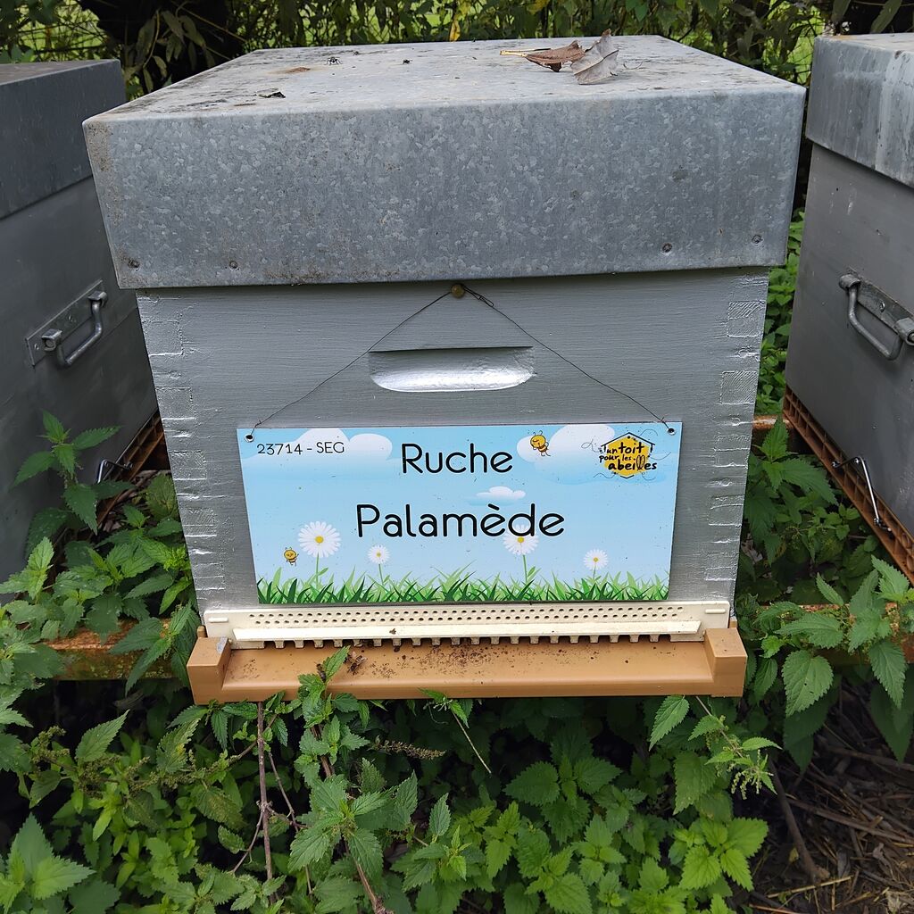 La ruche Palamède