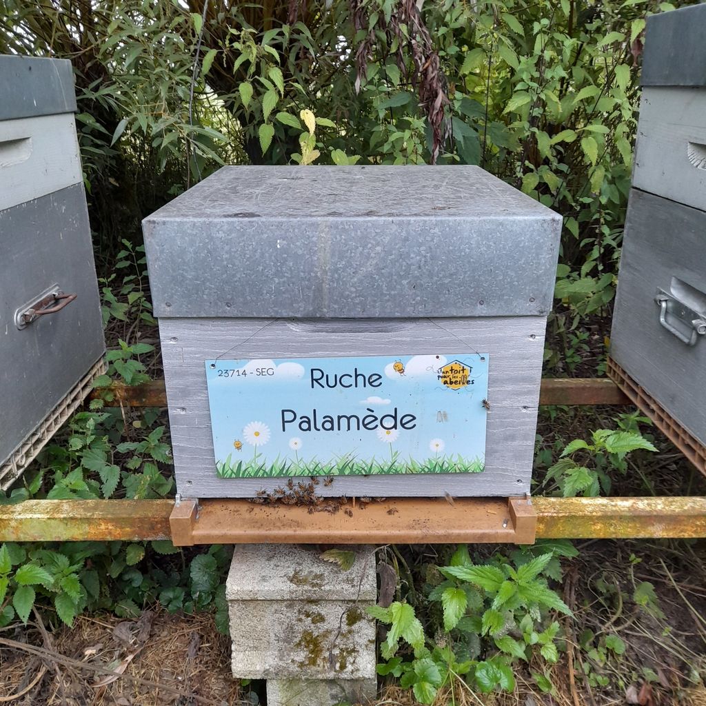 La ruche Palamède