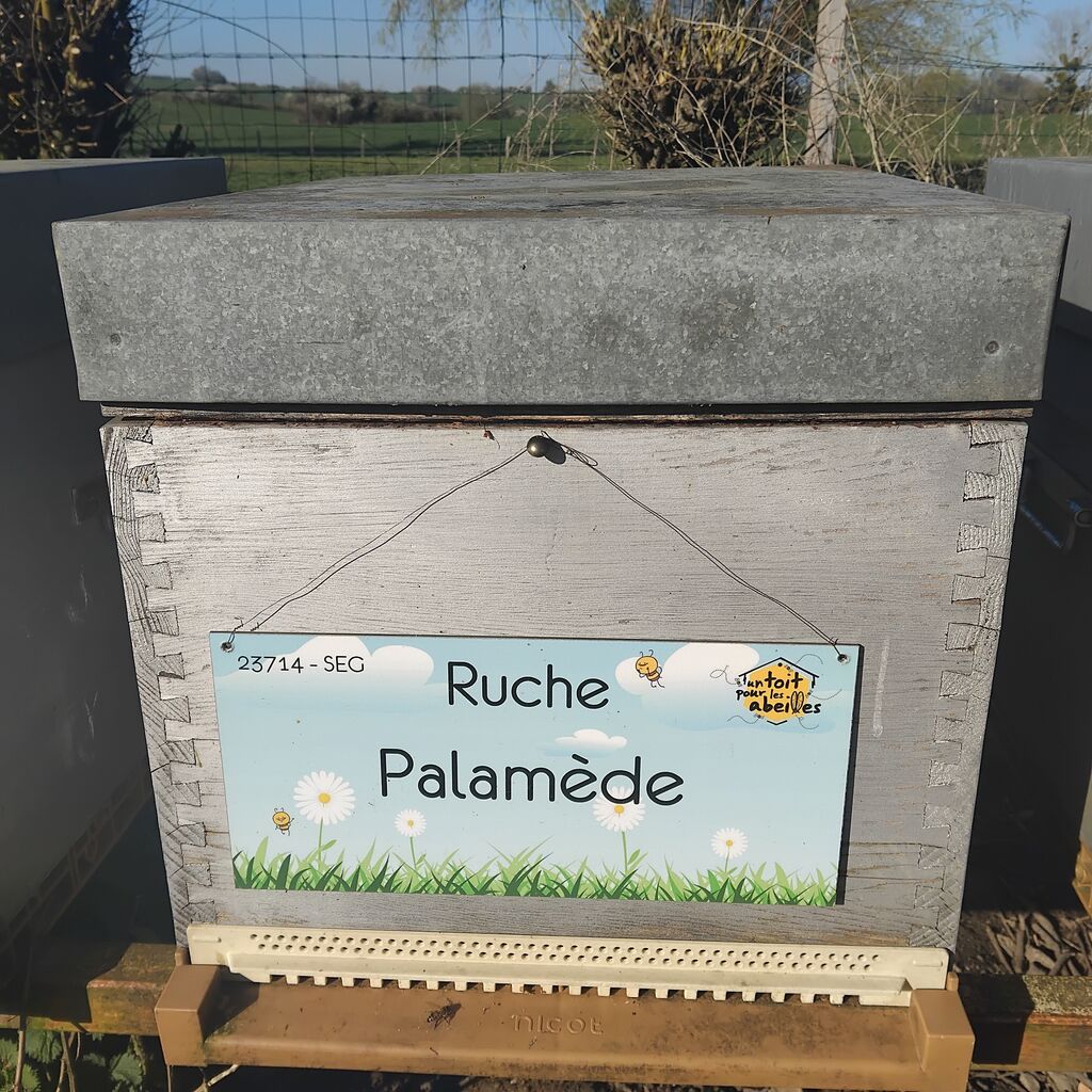 La ruche Palamède