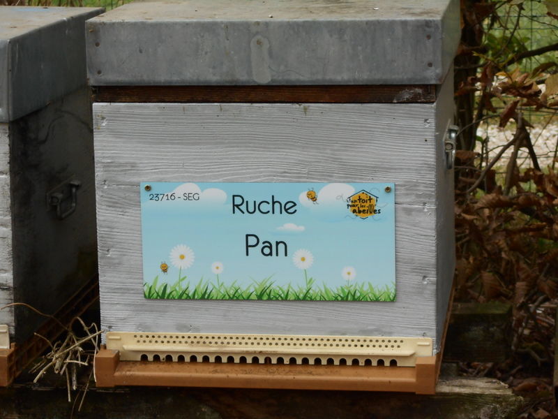 La ruche