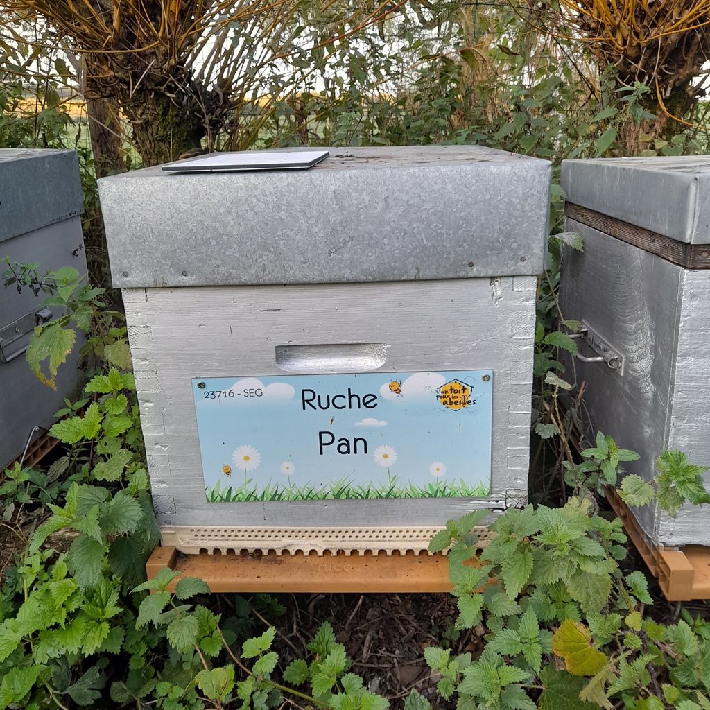 La ruche Pan