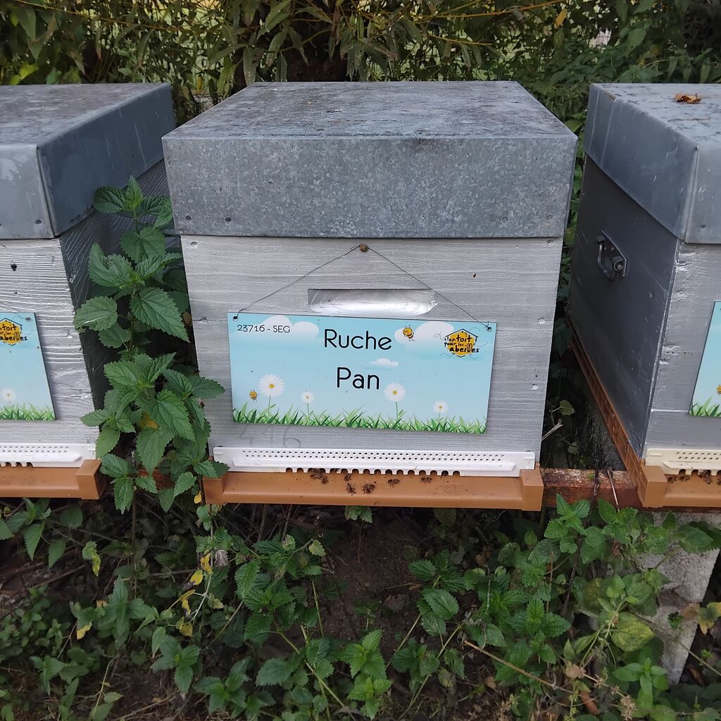 La ruche Pan