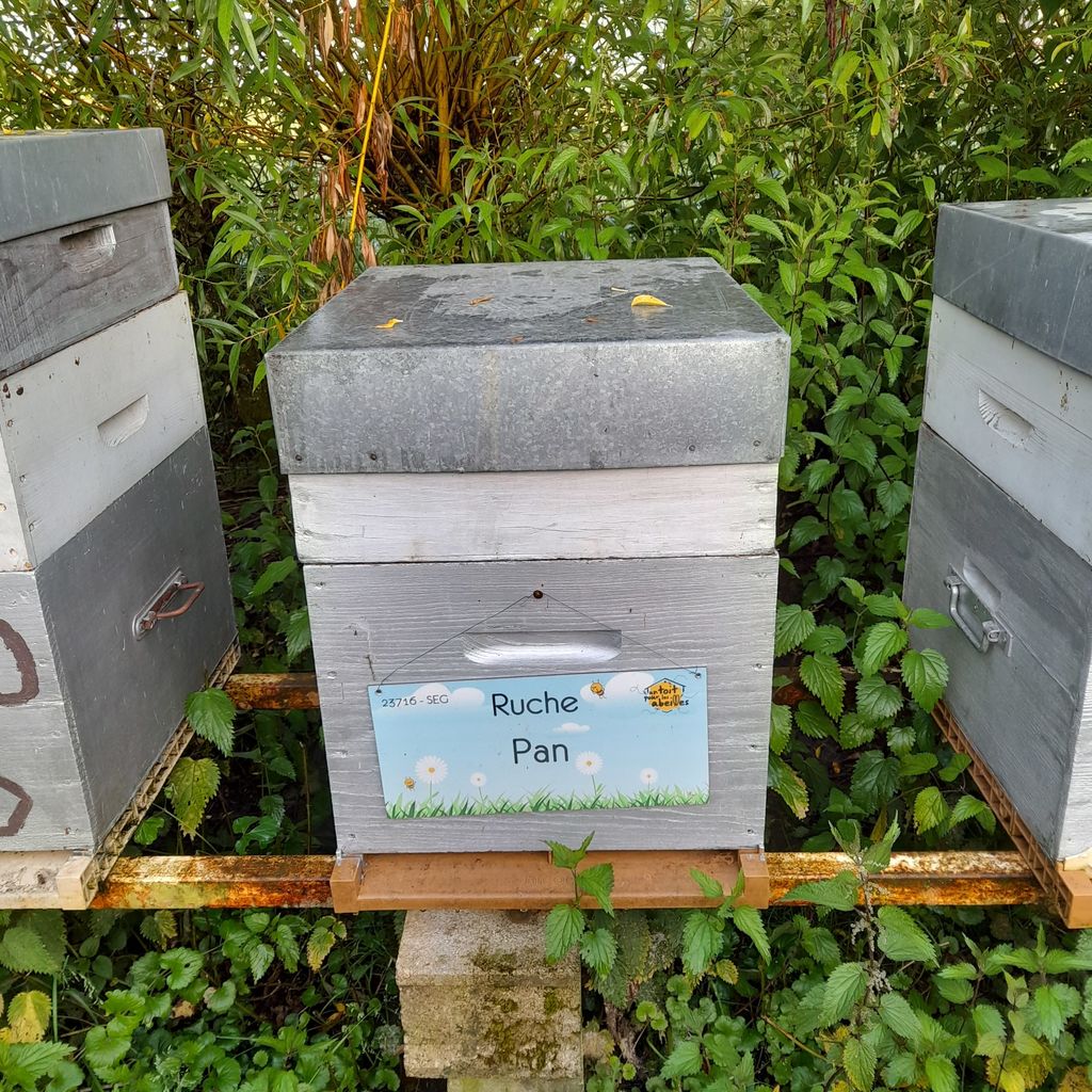 La ruche Pan