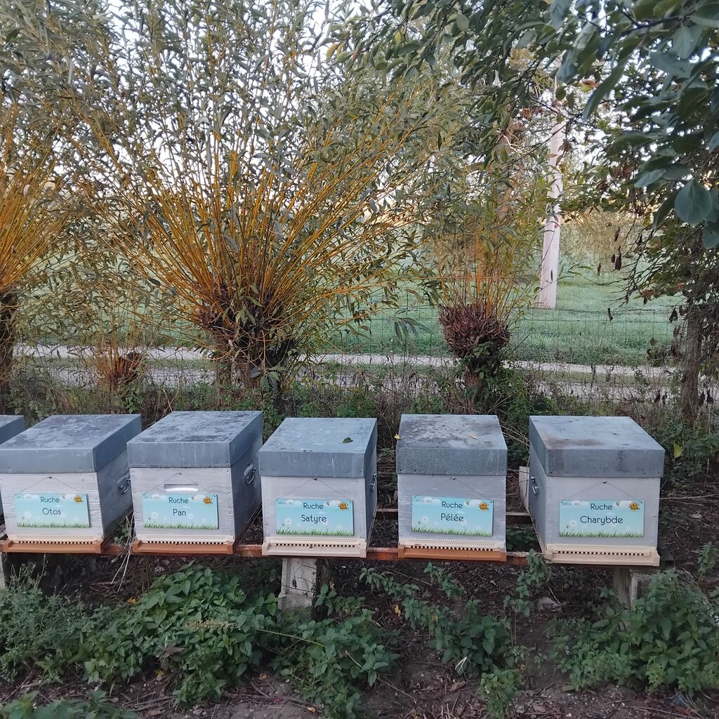 La ruche Pélée