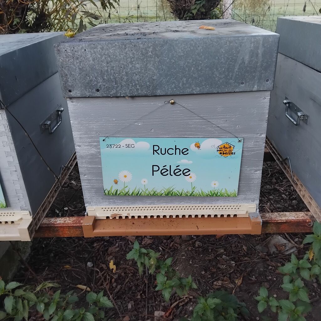 La ruche Pélée