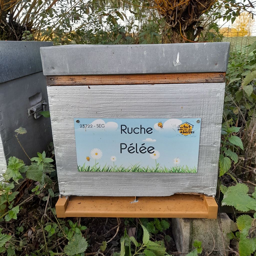 La ruche Pélée