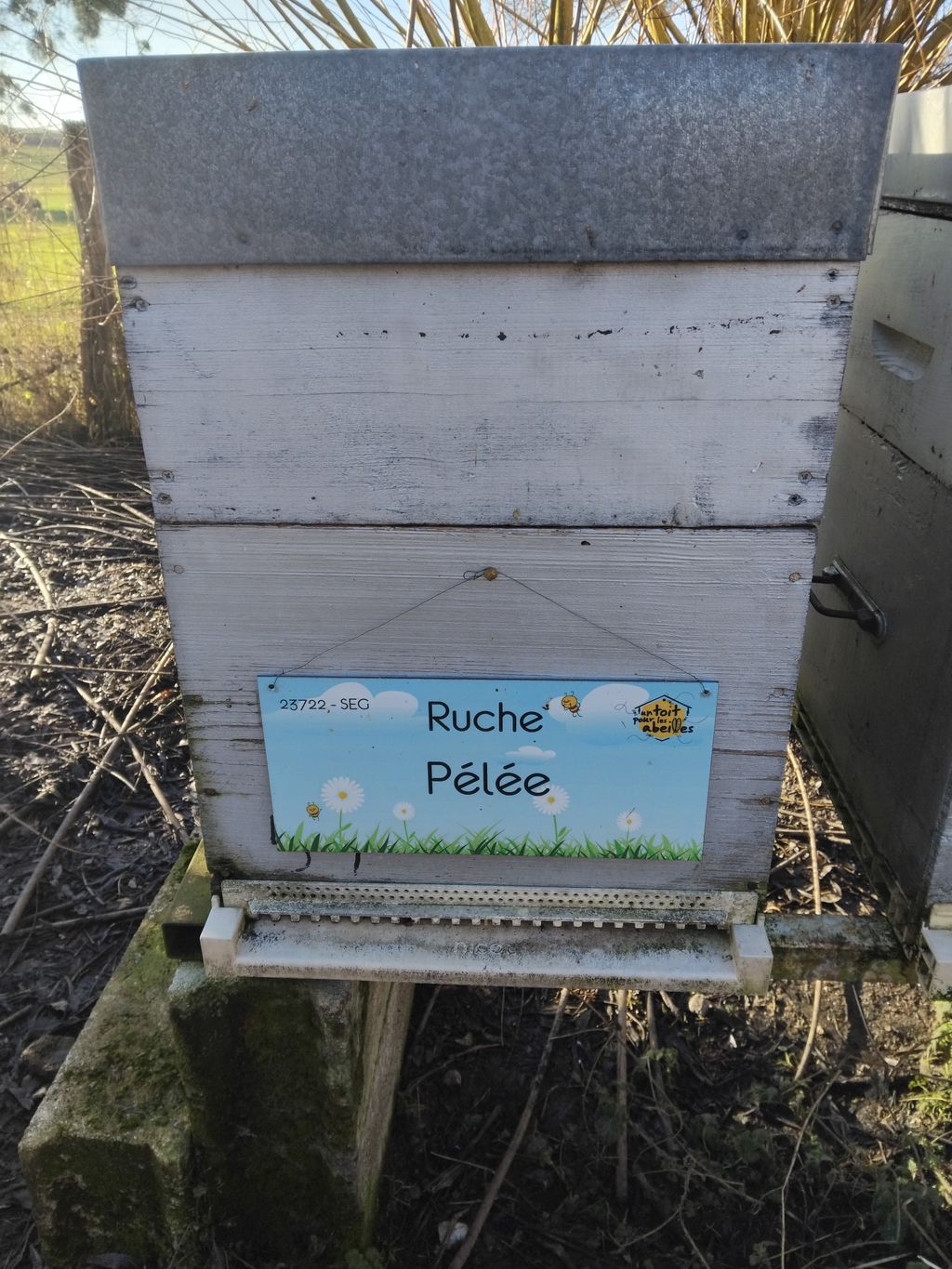 La ruche Pélée