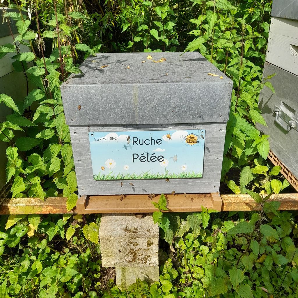 La ruche Pélée