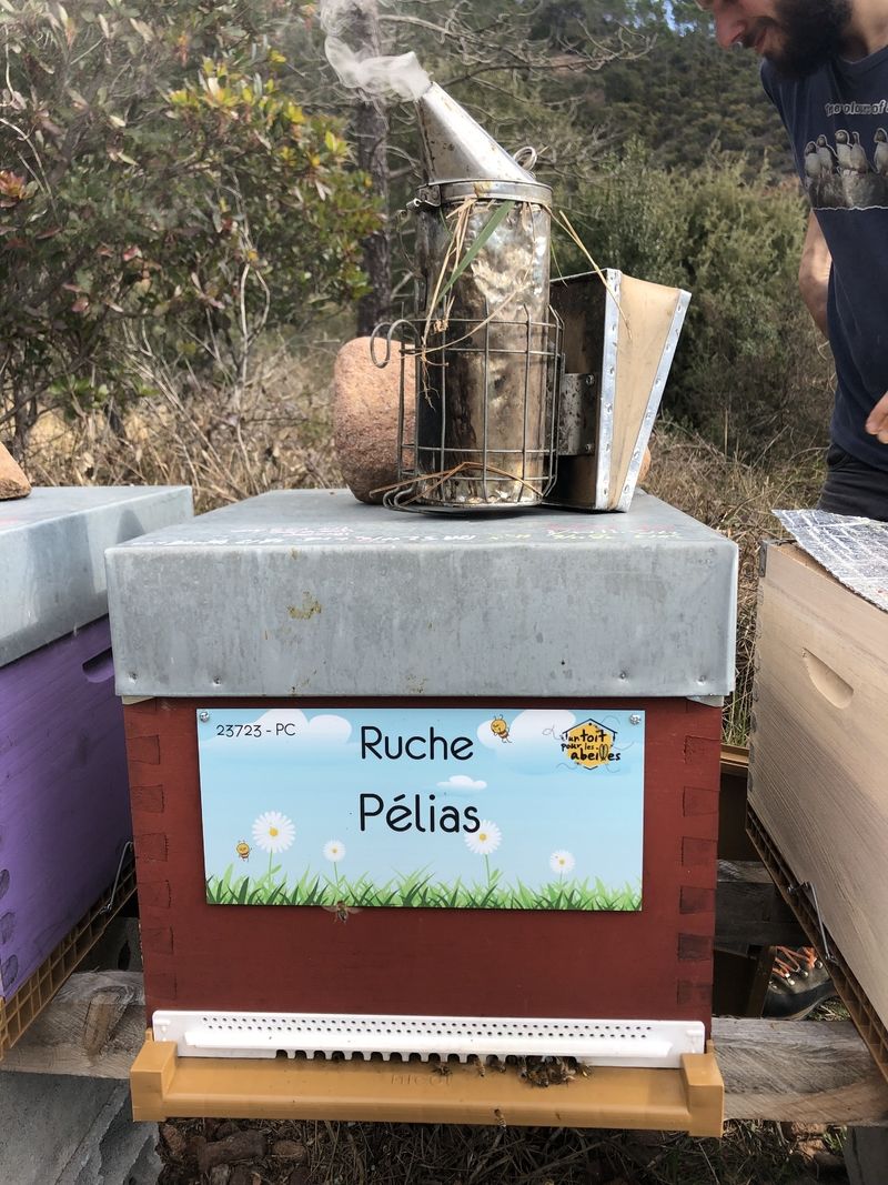 La ruche