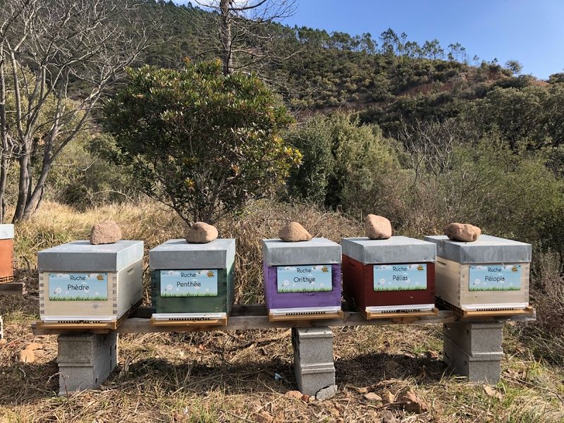 La ruche Pélias