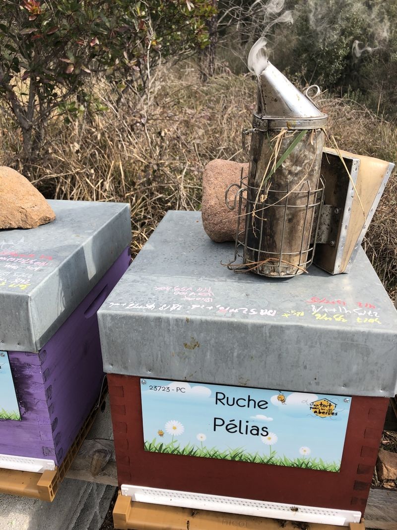 La ruche Pélias