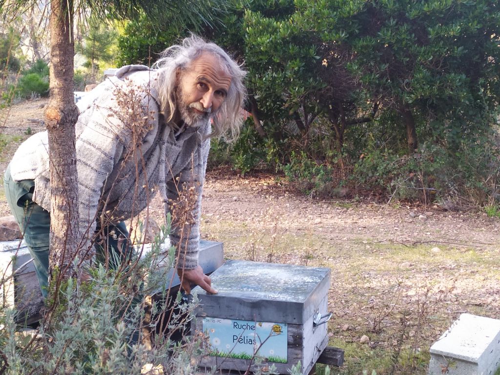 La ruche Pélias