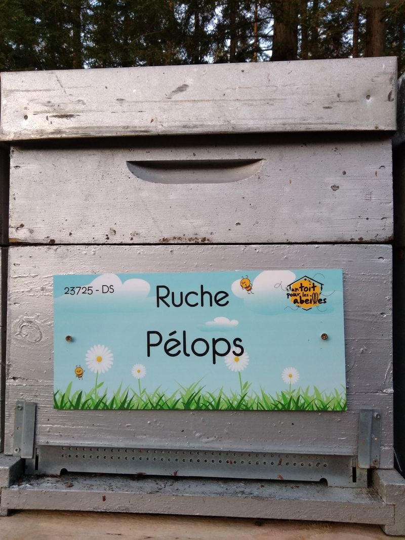 La ruche