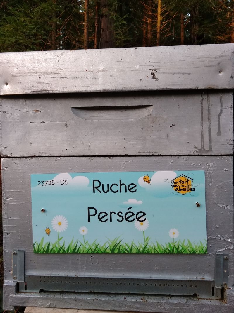 La ruche Persée
