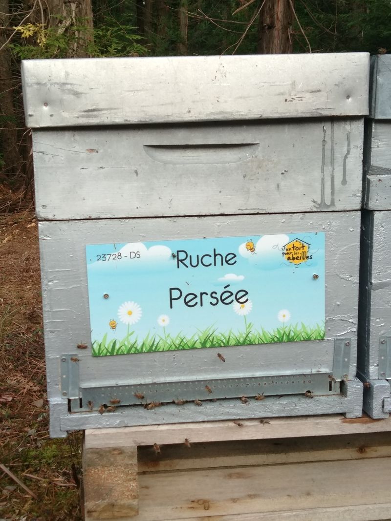 La ruche Persée