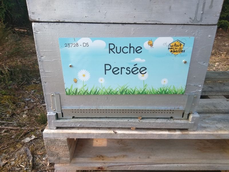La ruche Persée