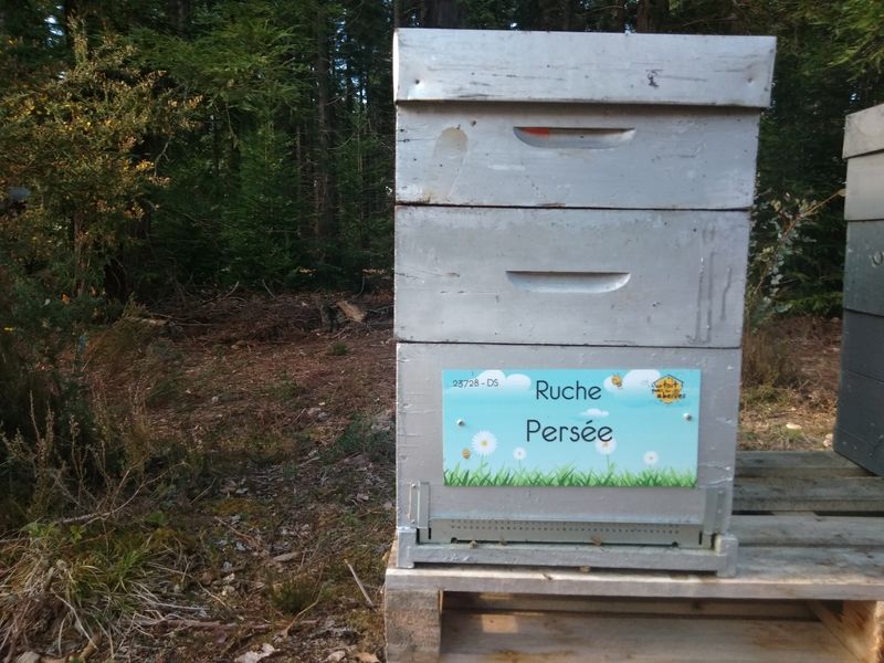 La ruche Persée