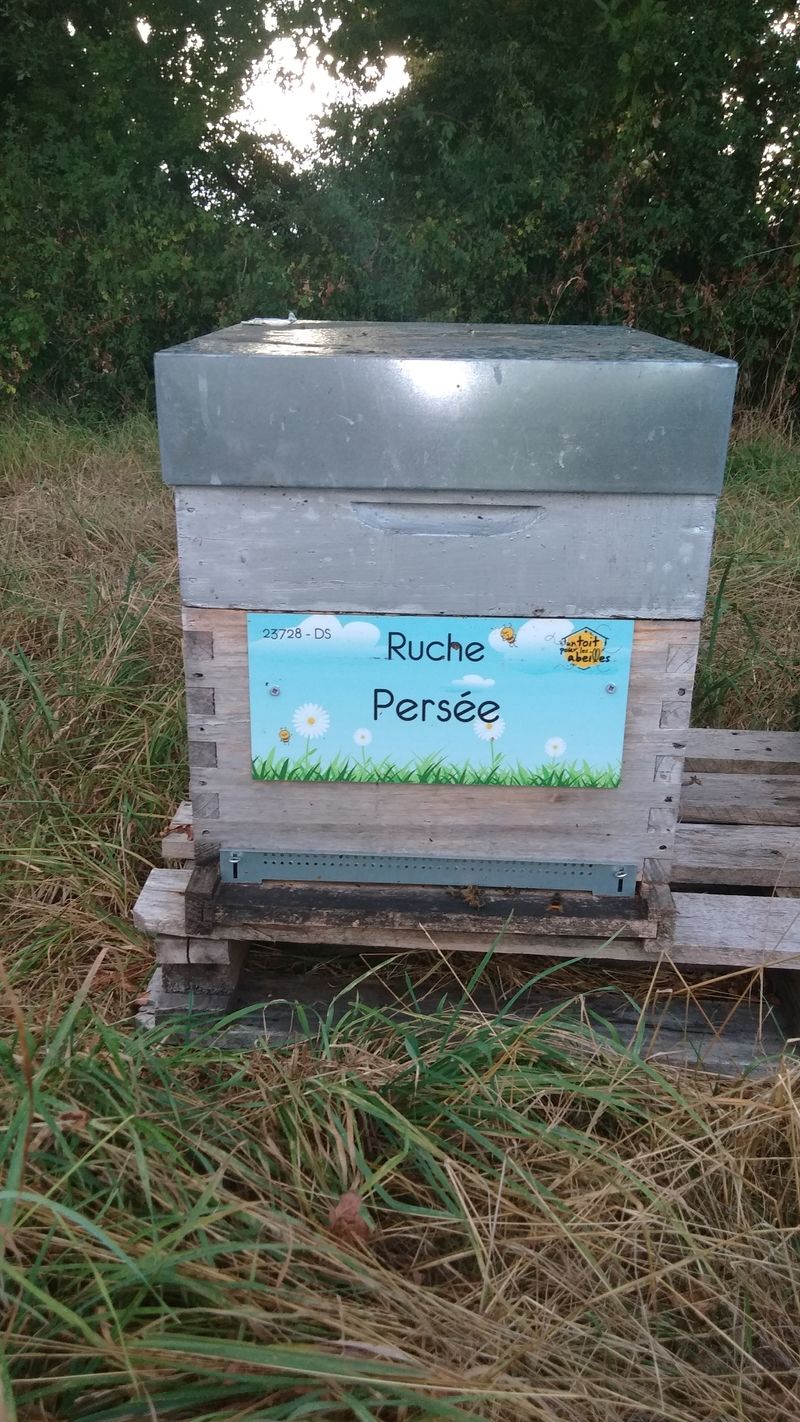 La ruche Persée