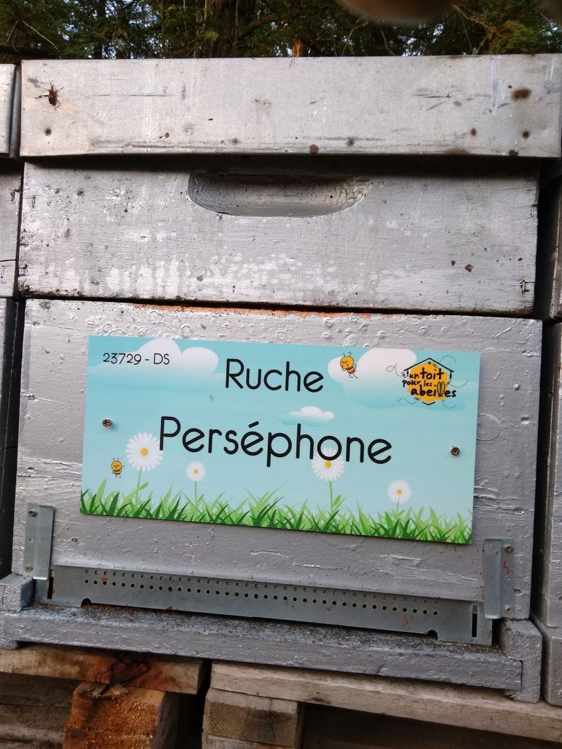 La ruche Perséphone