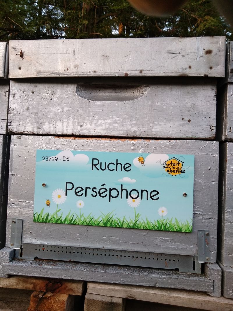 La ruche Perséphone