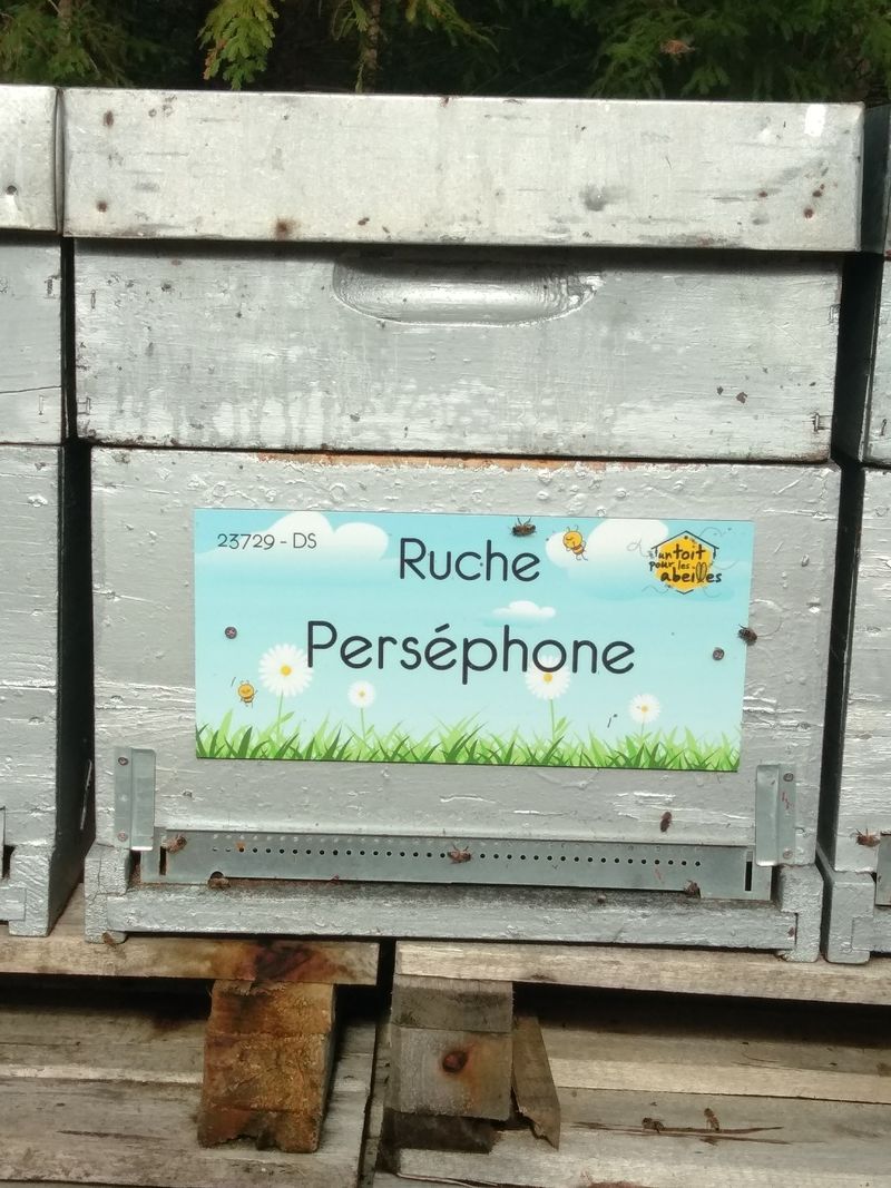 La ruche Perséphone