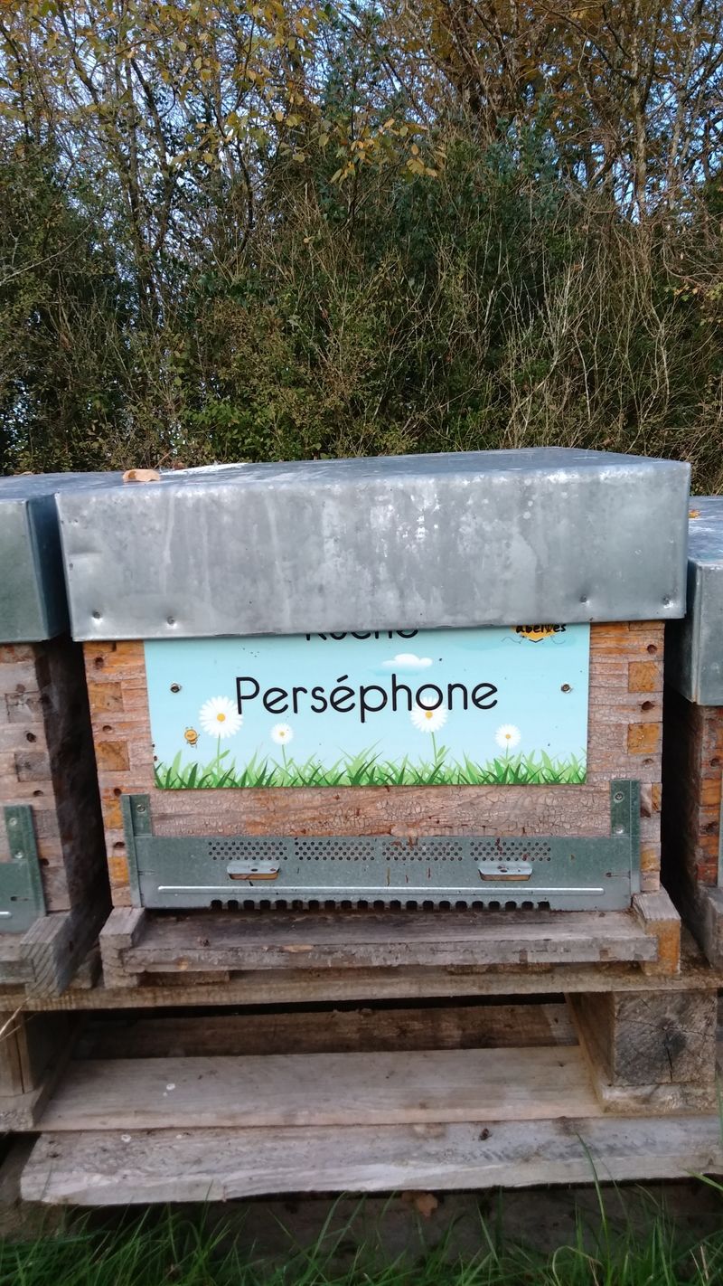 La ruche Perséphone