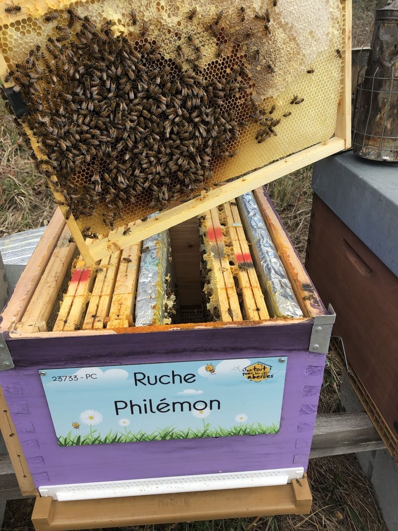 La ruche