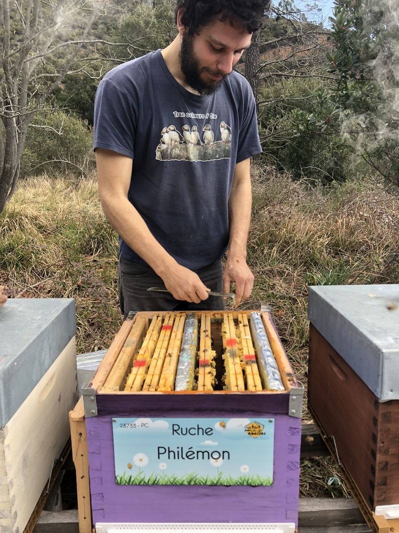 La ruche Philémon