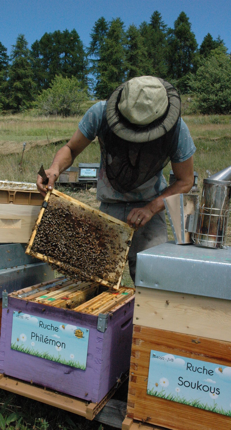 La ruche Philémon