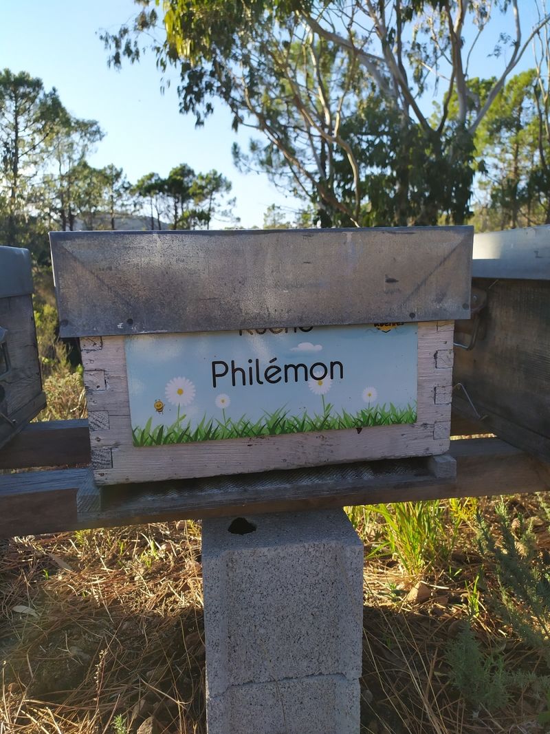 La ruche Philémon