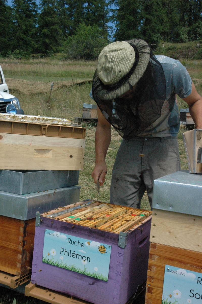 La ruche Philémon