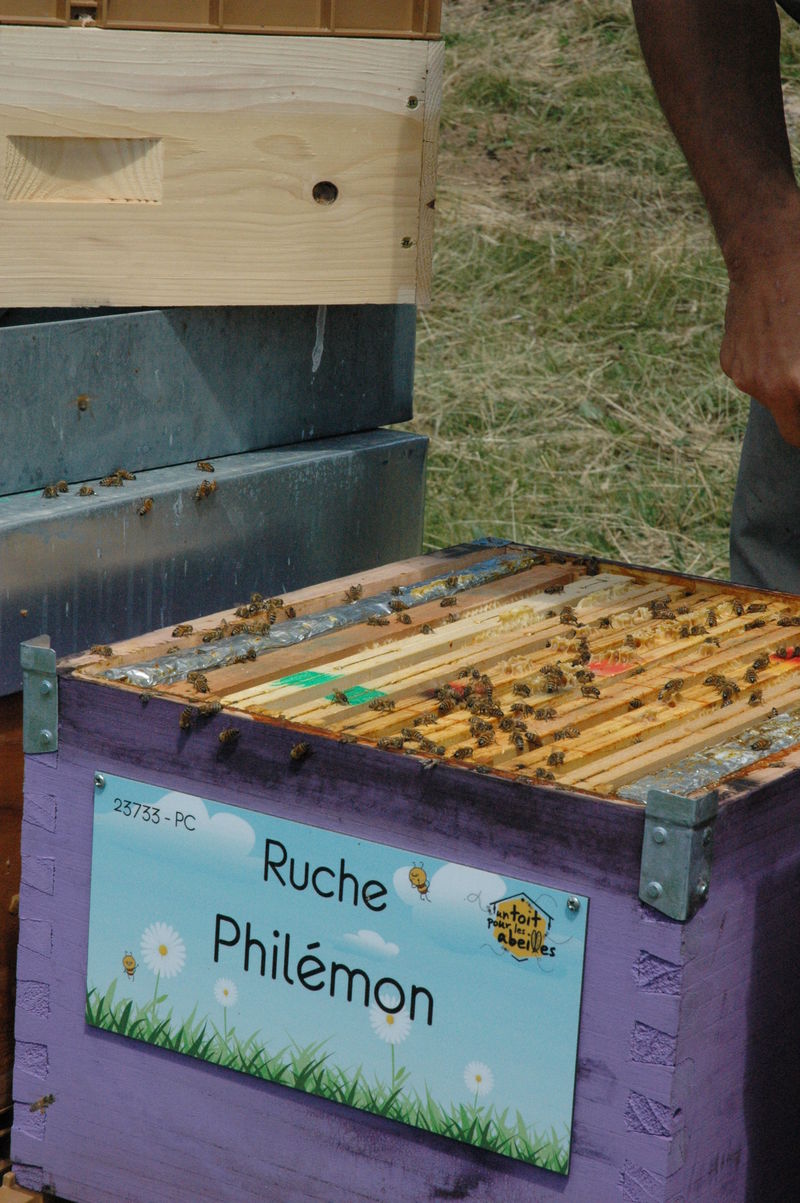 La ruche Philémon