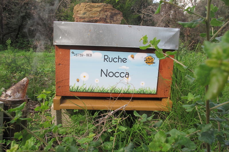 La ruche