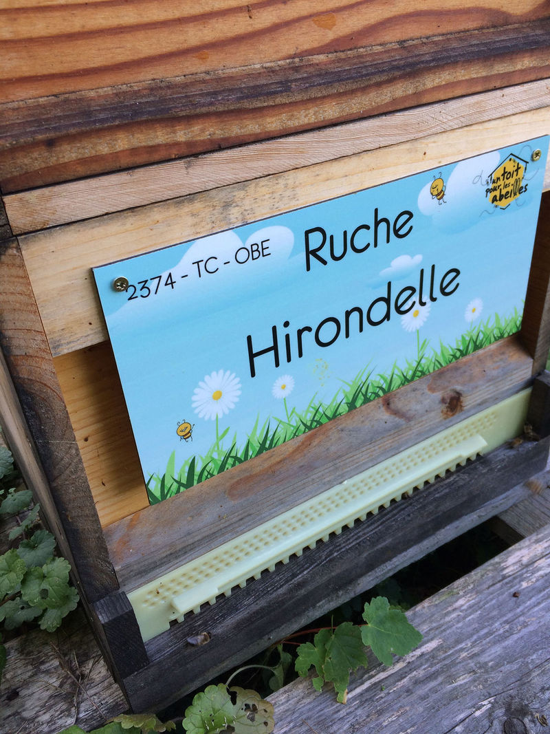 La ruche