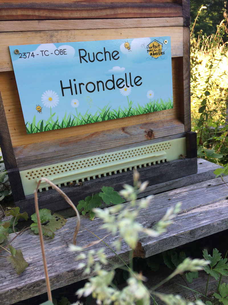 La ruche Hirondelle