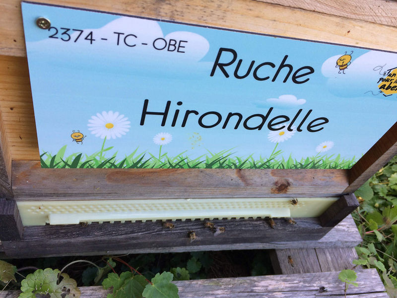 La ruche Hirondelle