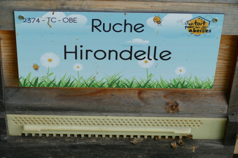La ruche Hirondelle