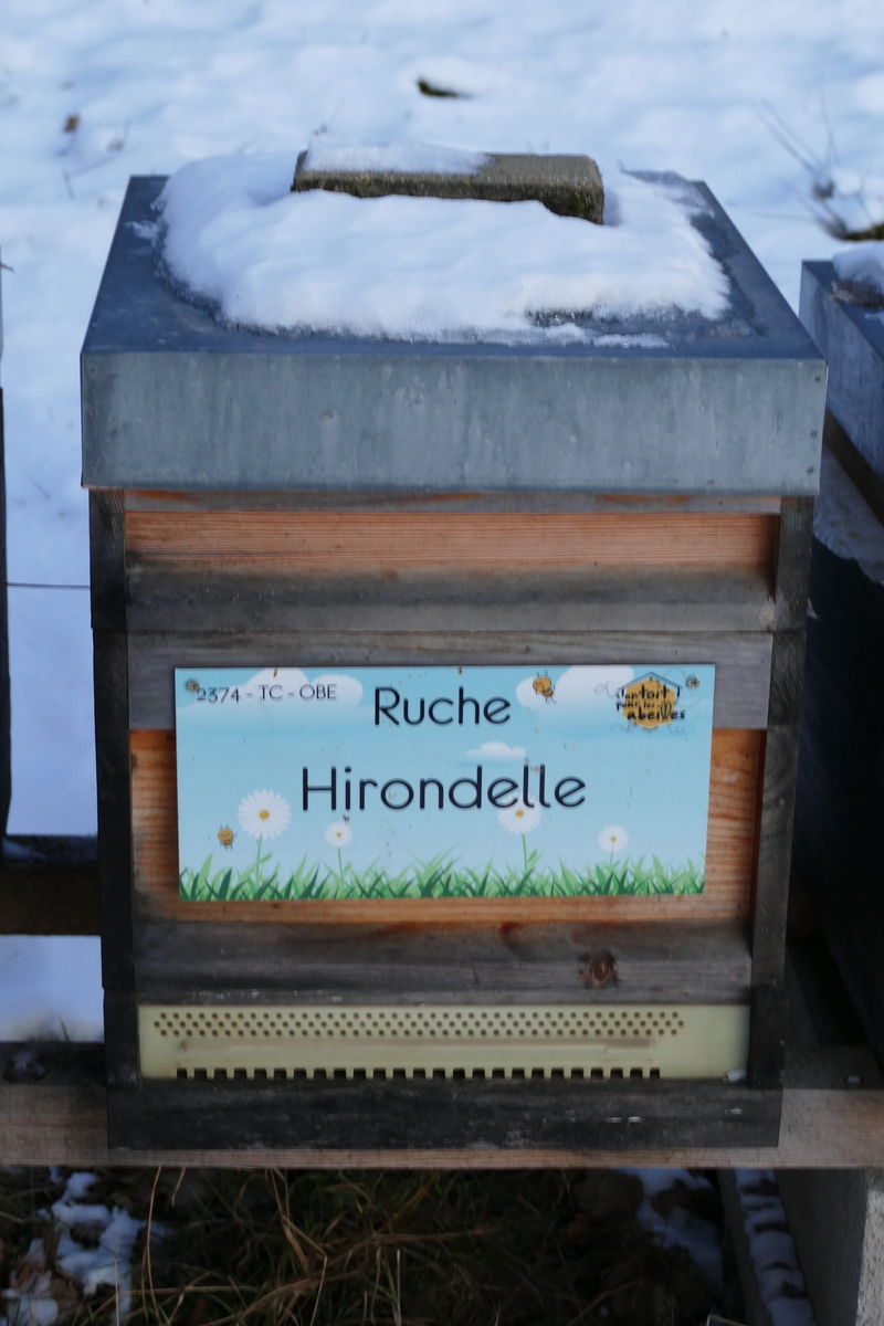 La ruche Hirondelle
