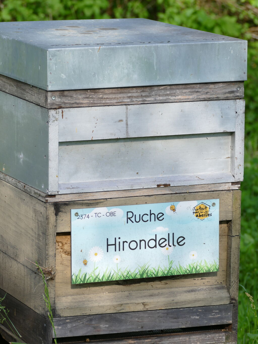 La ruche Hirondelle