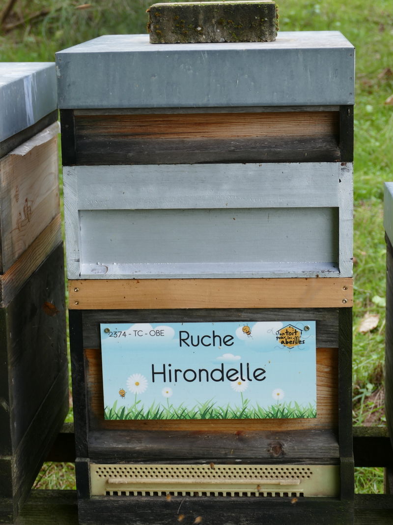 La ruche Hirondelle