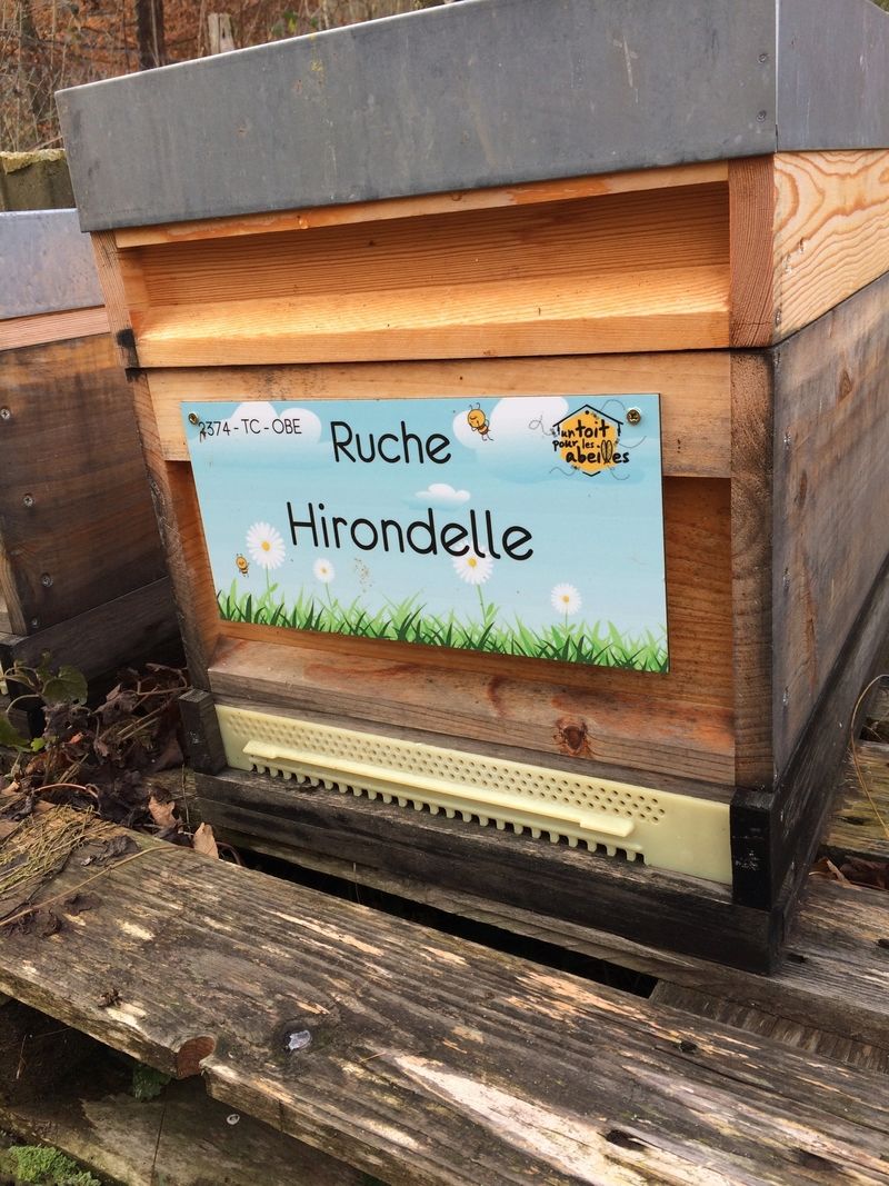 La ruche Hirondelle