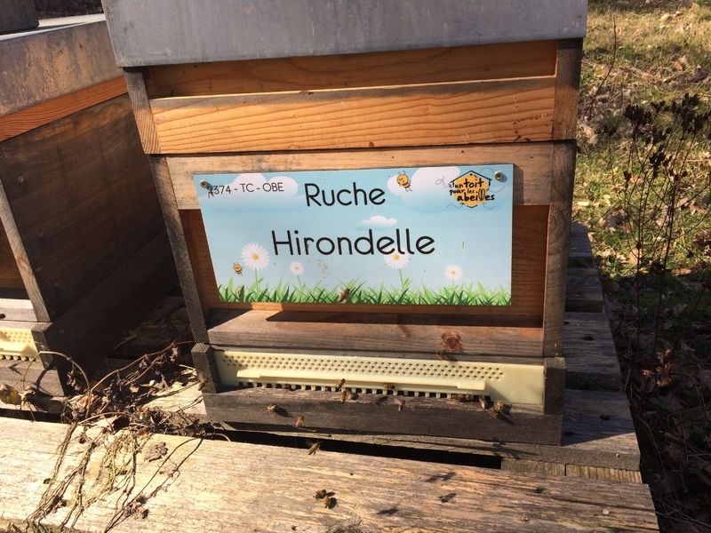 La ruche Hirondelle