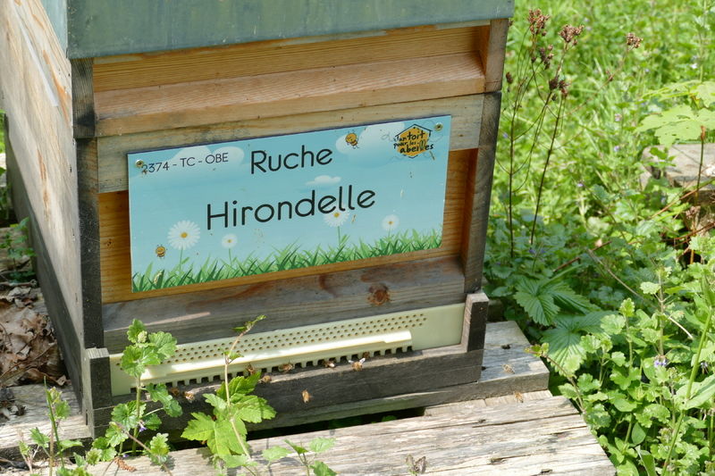 La ruche Hirondelle