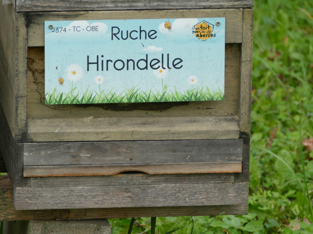La ruche Hirondelle