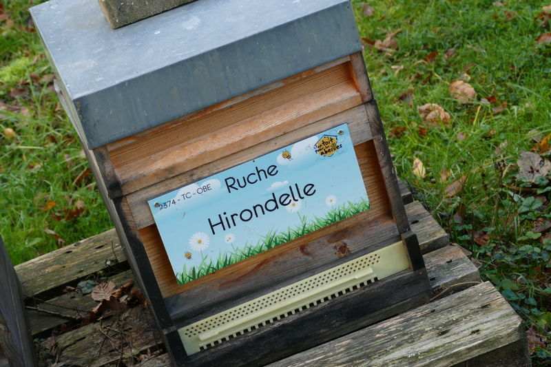 La ruche Hirondelle