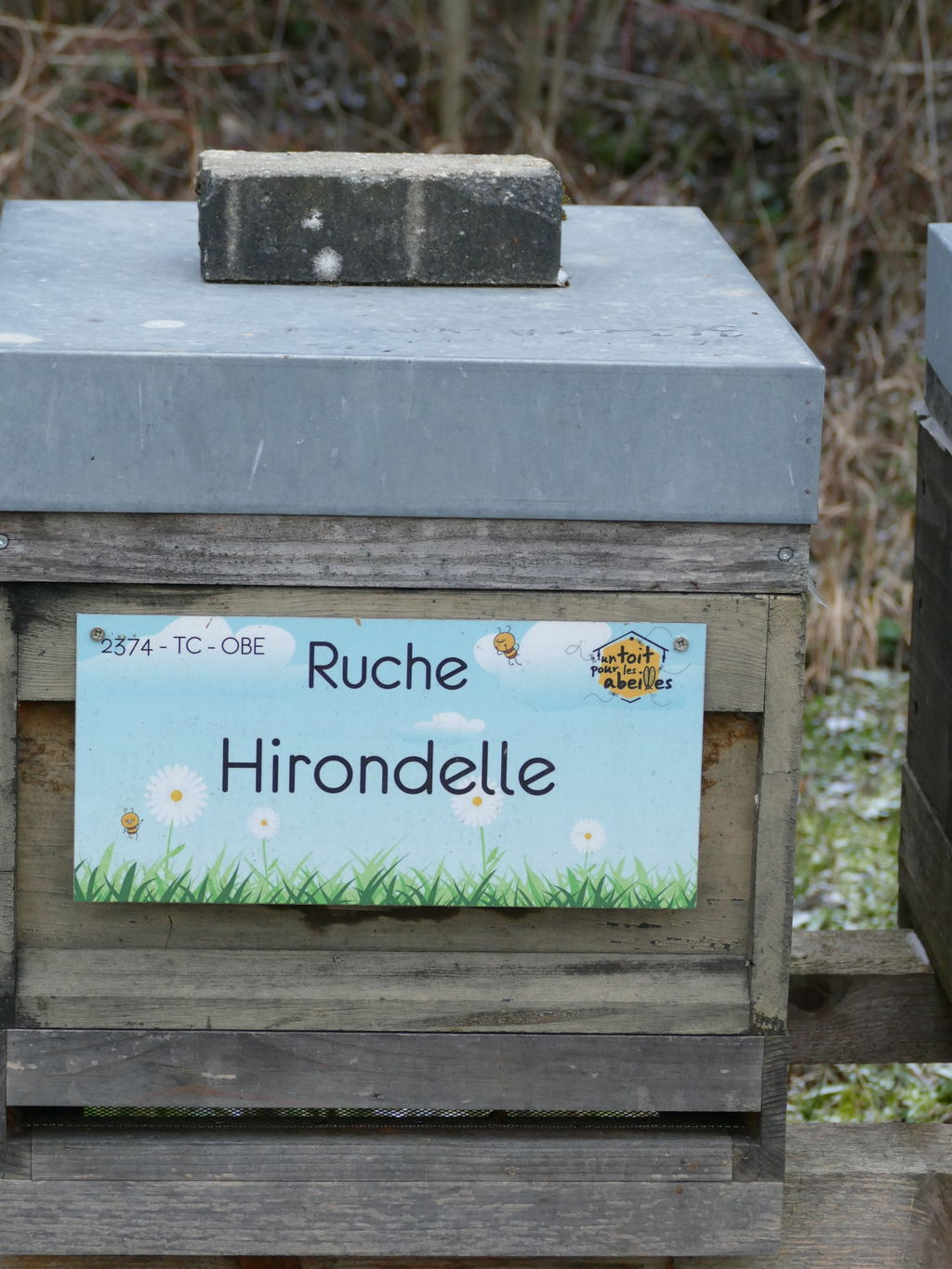 La ruche Hirondelle