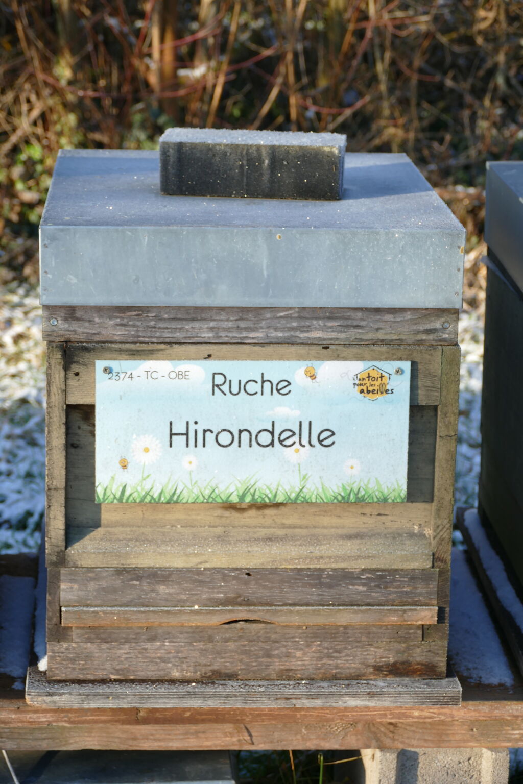 La ruche Hirondelle