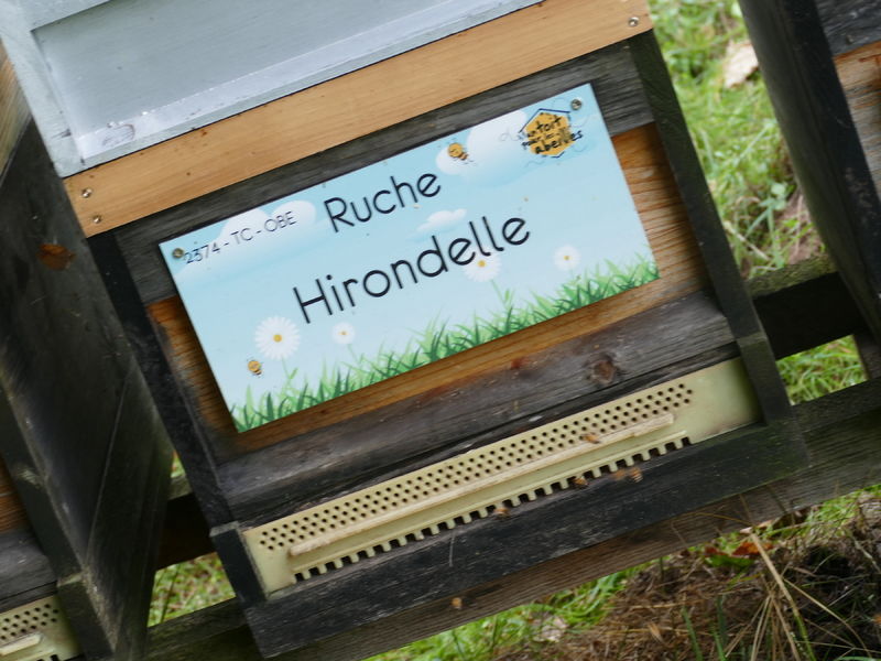 La ruche Hirondelle
